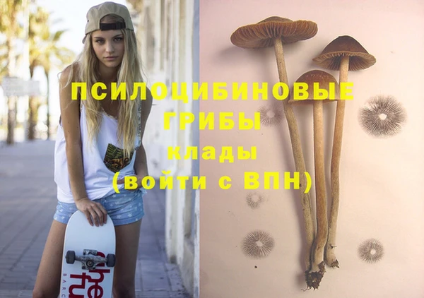 ешки Переславль-Залесский