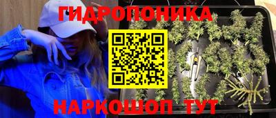 не бодяженный Берёзовский