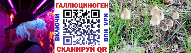 Галлюциногенные грибы прущие грибы  Барнаул 