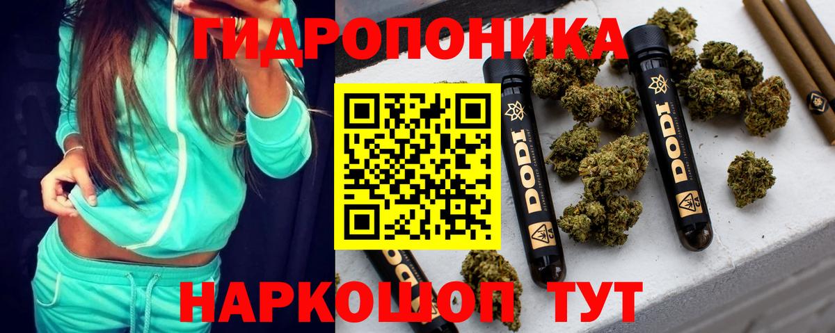 Бошки Шишки индика  Вход с VPN  Канабис семена  Барнаул  Каннабис Amnesia  Шишки марихуана AK-47 